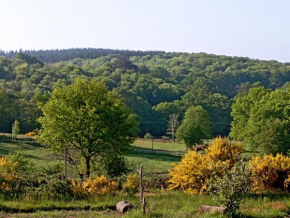 Les Chalets de La Vialette